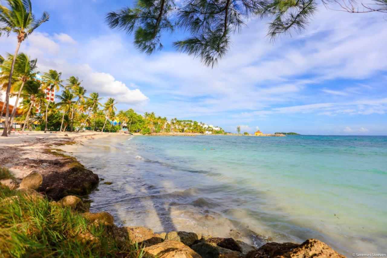 Le Paradis Avec Son Access Et Sans Coupure D'eau * Le Gosier (Grande-Terre)