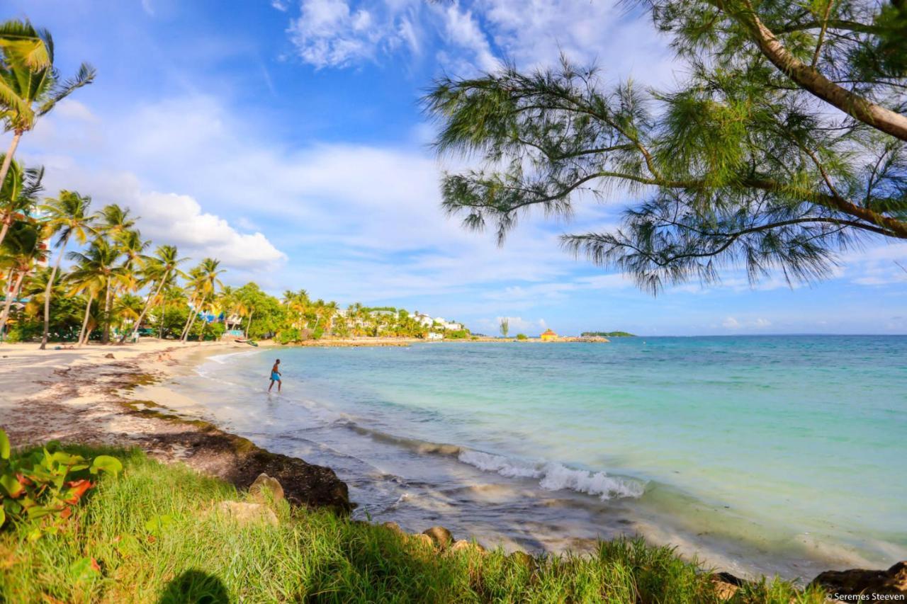 Le Paradis Avec Son Access Et Sans Coupure D'eau * Le Gosier (Grande-Terre)