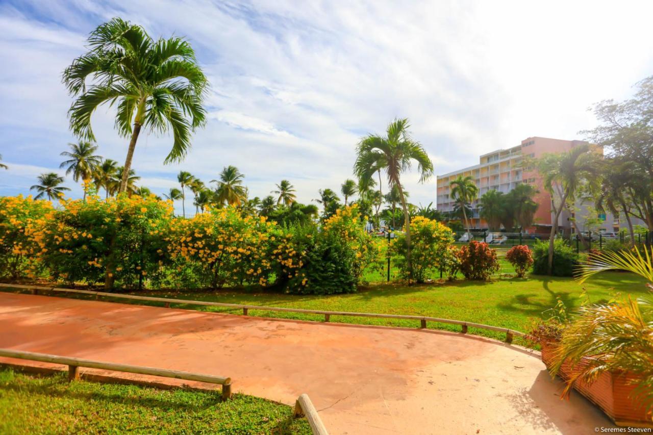 Le Paradis Avec Son Access Et Sans Coupure D'eau Appartement *